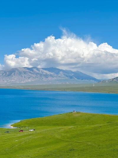 景