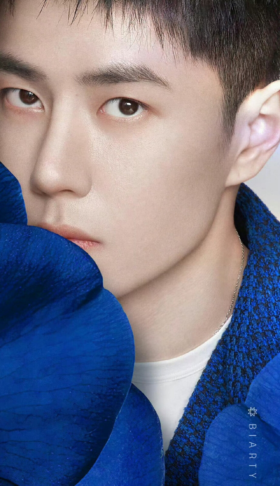 高清图片,堆糖,美图壁纸兴趣社区