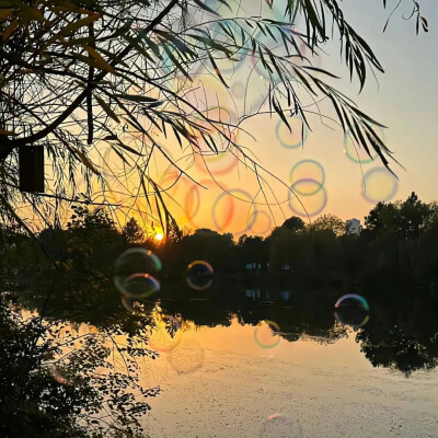 美好 阳光 烟花 泡泡 日落 花朵 彩色 温暖 背景图