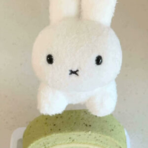 奶树暖羊：玩偶头像