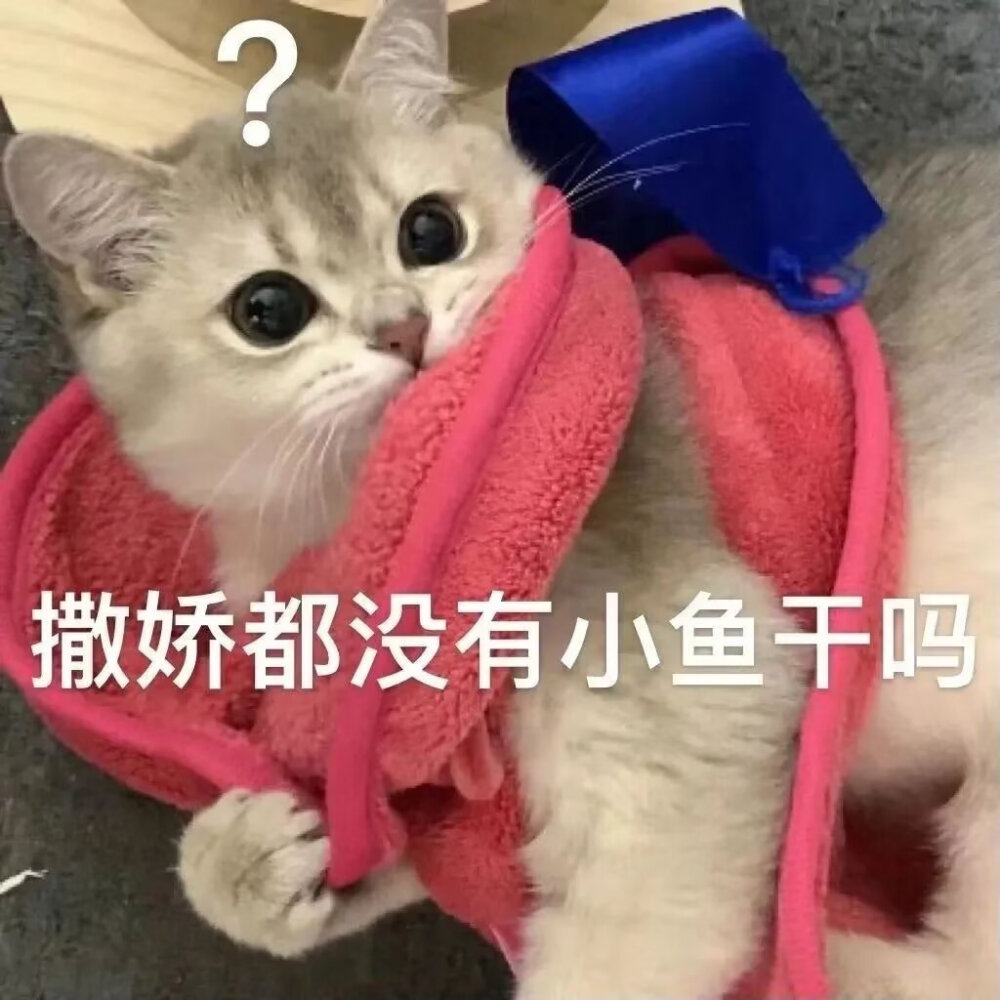 表情包