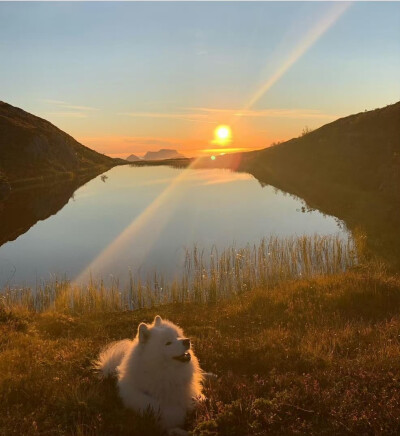 夕阳耶耶