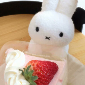 奶树暖羊：玩偶头像