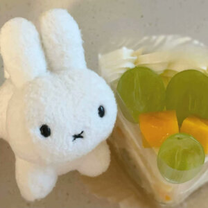 奶树暖羊：玩偶头像