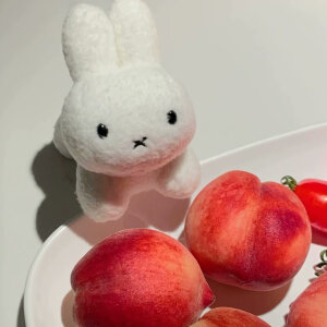 奶树暖羊：玩偶头像