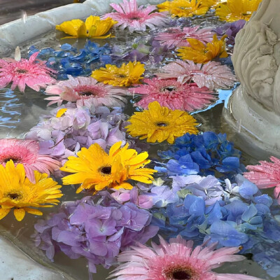 美好 阳光 烟花 泡泡 日落 花朵 彩色 温暖 背景图