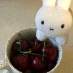 奶树暖羊：玩偶头像