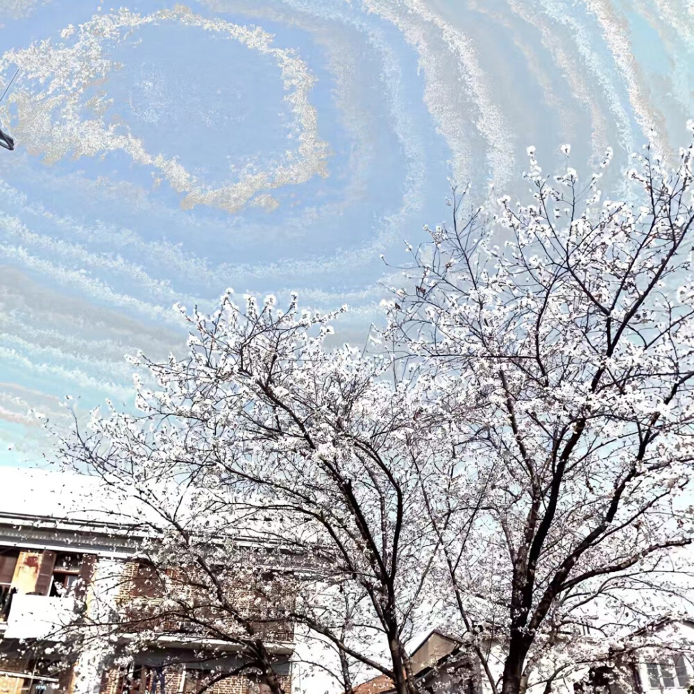  你的帽T 写给我的信