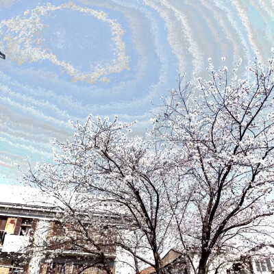  你的帽T 写给我的信