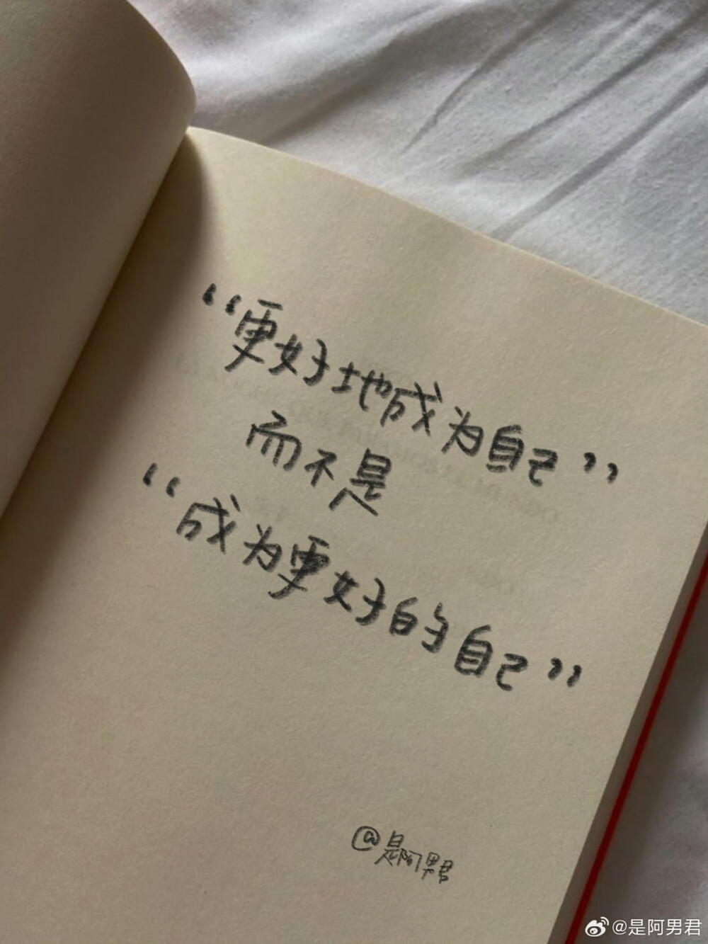 “人生的剧本你早在天堂看过了”
cr@是阿男君
#一起练字##文字背景图# ​