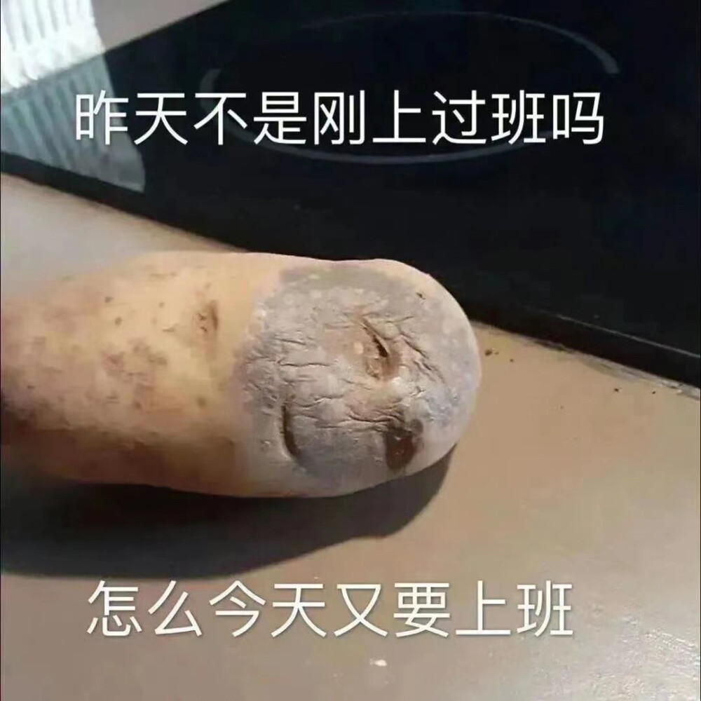 表情包