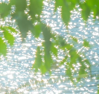 普罗旺斯的夏天，田野的榛果、葡萄架、拂过的微风和薰衣草，木椅上的报纸停留水汽的帽子先生，沾湿裙摆的玫瑰香水，香草碎带回冬的路。