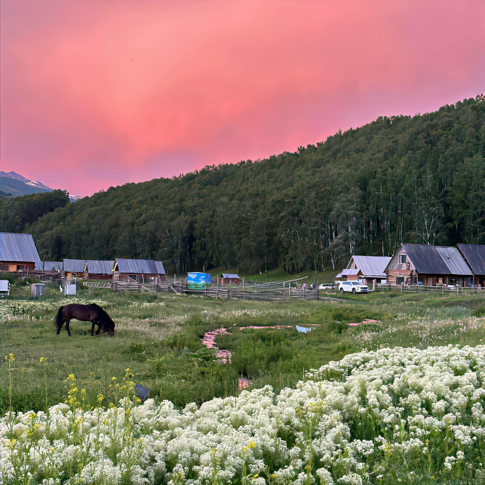 背景