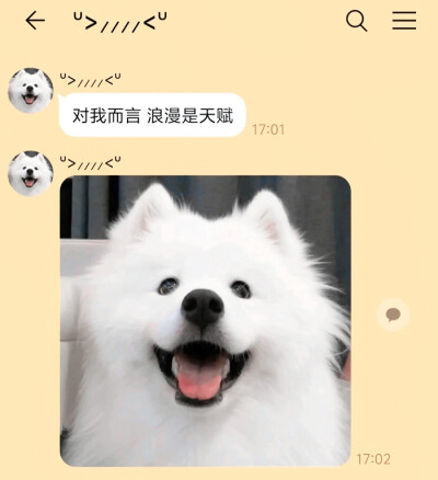 小小狗說要永遠開心ʕ≧⌄≦｡ʔ