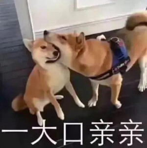 .