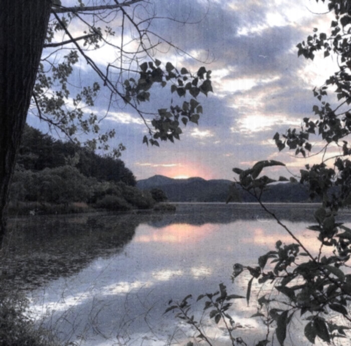 普罗旺斯的夏天，田野的榛果、葡萄架、拂过的微风和薰衣草，木椅上的报纸停留水汽的帽子先生，沾湿裙摆的玫瑰香水，香草碎带回冬的路