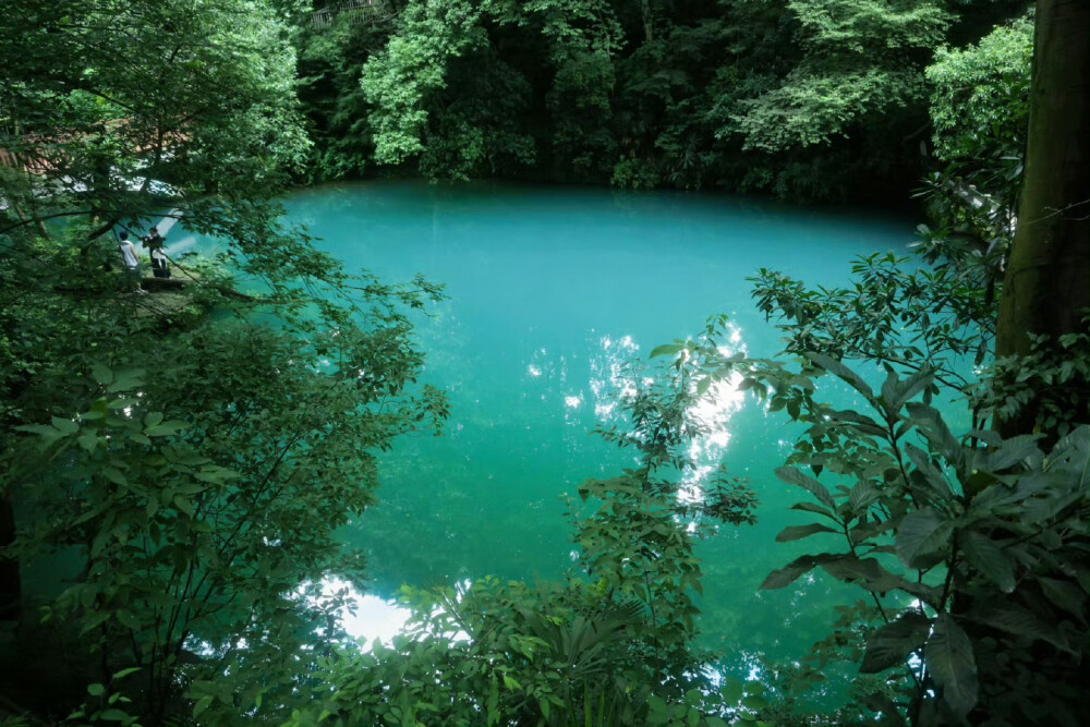 仲夏花魂之梦
摄影from浮春郷