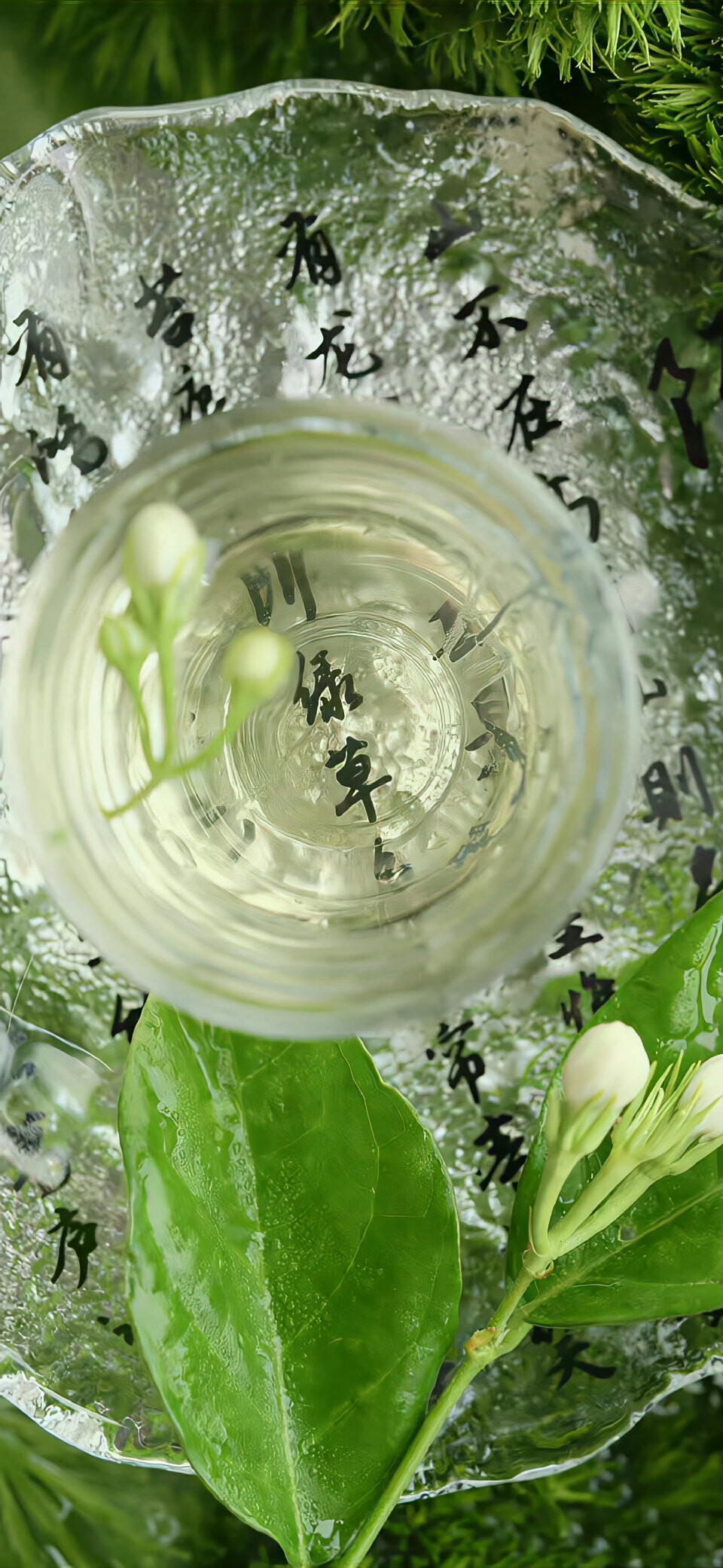 属于自然的壁纸＃手机壁纸＃生活＃绿色＃护眼