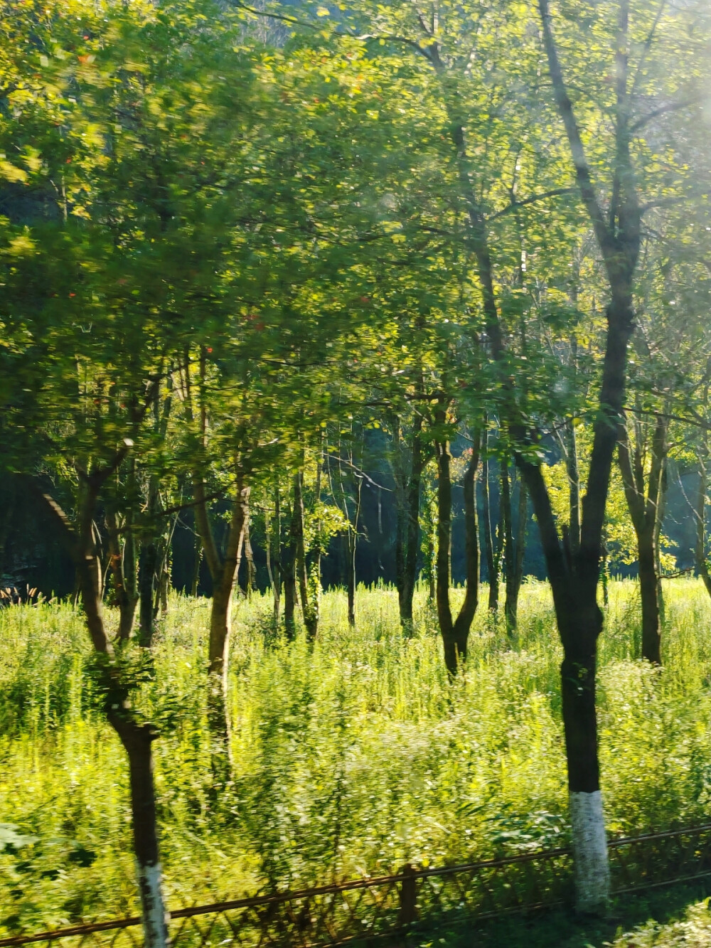 自然风景，感受大自然的壮丽