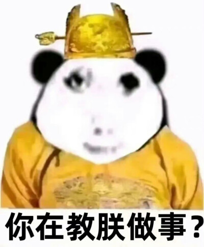 网络皇帝