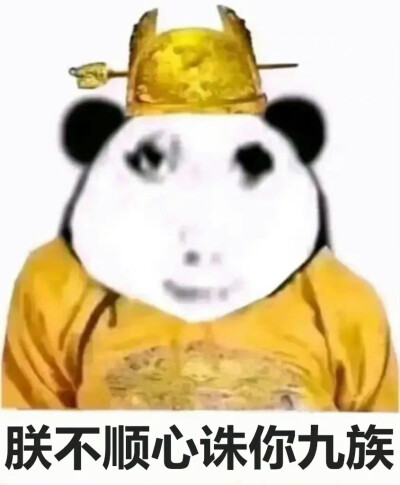 网络皇帝