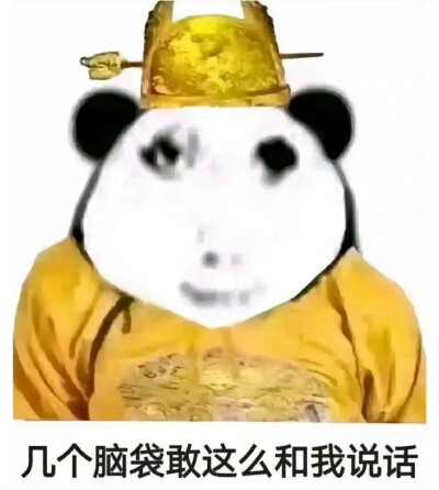 网络皇帝