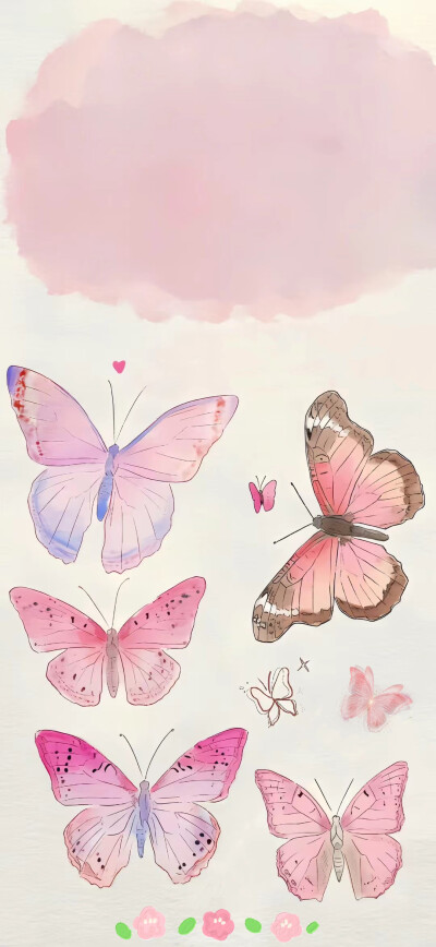飞舞的蝴蝶