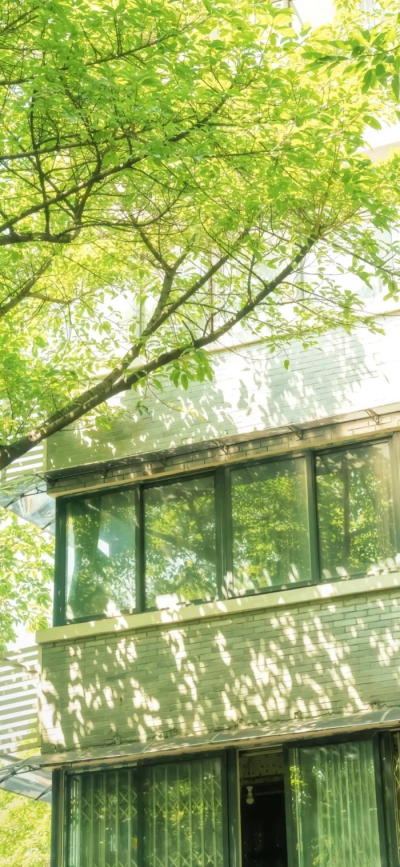 唯美治愈小清新壁纸