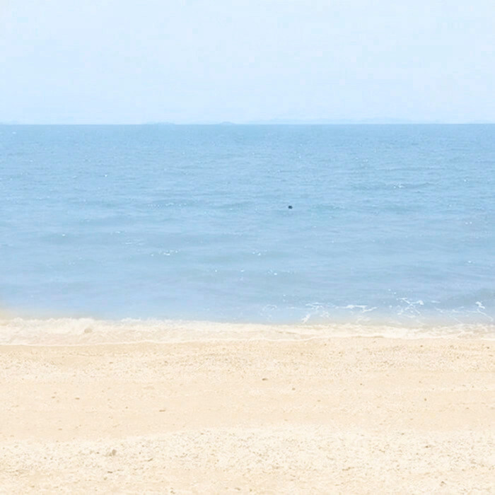 赶在盛夏最后一场烟火祭的那晚，点燃空气中最后一丝暧昧氧气，趁着葡萄气泡水还未溢出之前，尽管我们已经结束的话，选择填满我的body.