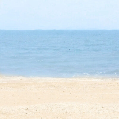 赶在盛夏最后一场烟火祭的那晚，点燃空气中最后一丝暧昧氧气，趁着葡萄气泡水还未溢出之前，尽管我们已经结束的话，选择填满我的body.