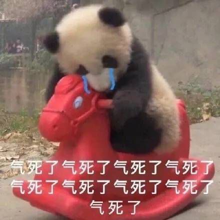 永远年轻 永远晚上发颠