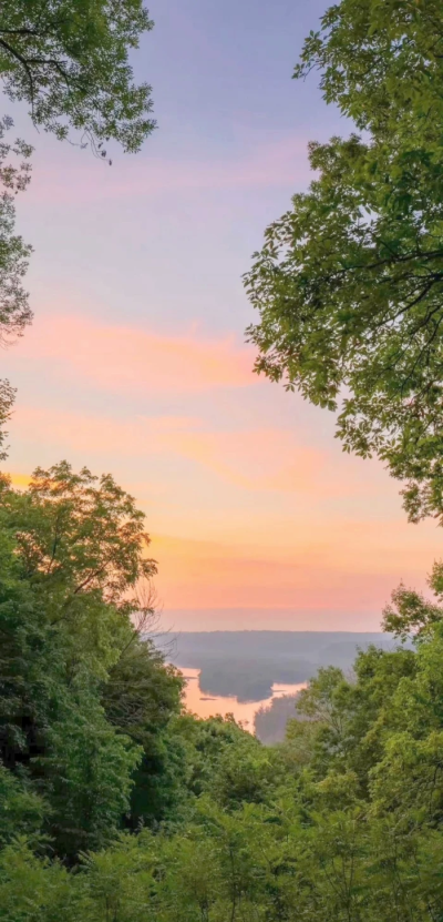 唯美意境治愈壁纸