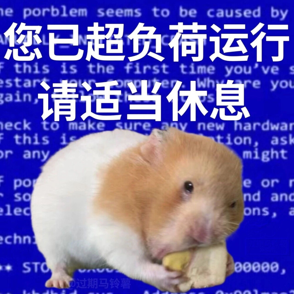 沙雕动物表情包