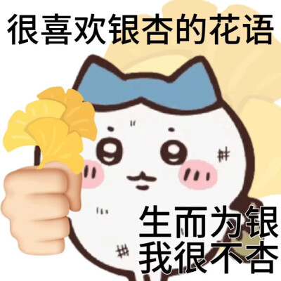 吉伊卡哇chiikawa发疯表情包