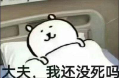 表情包
图源微博