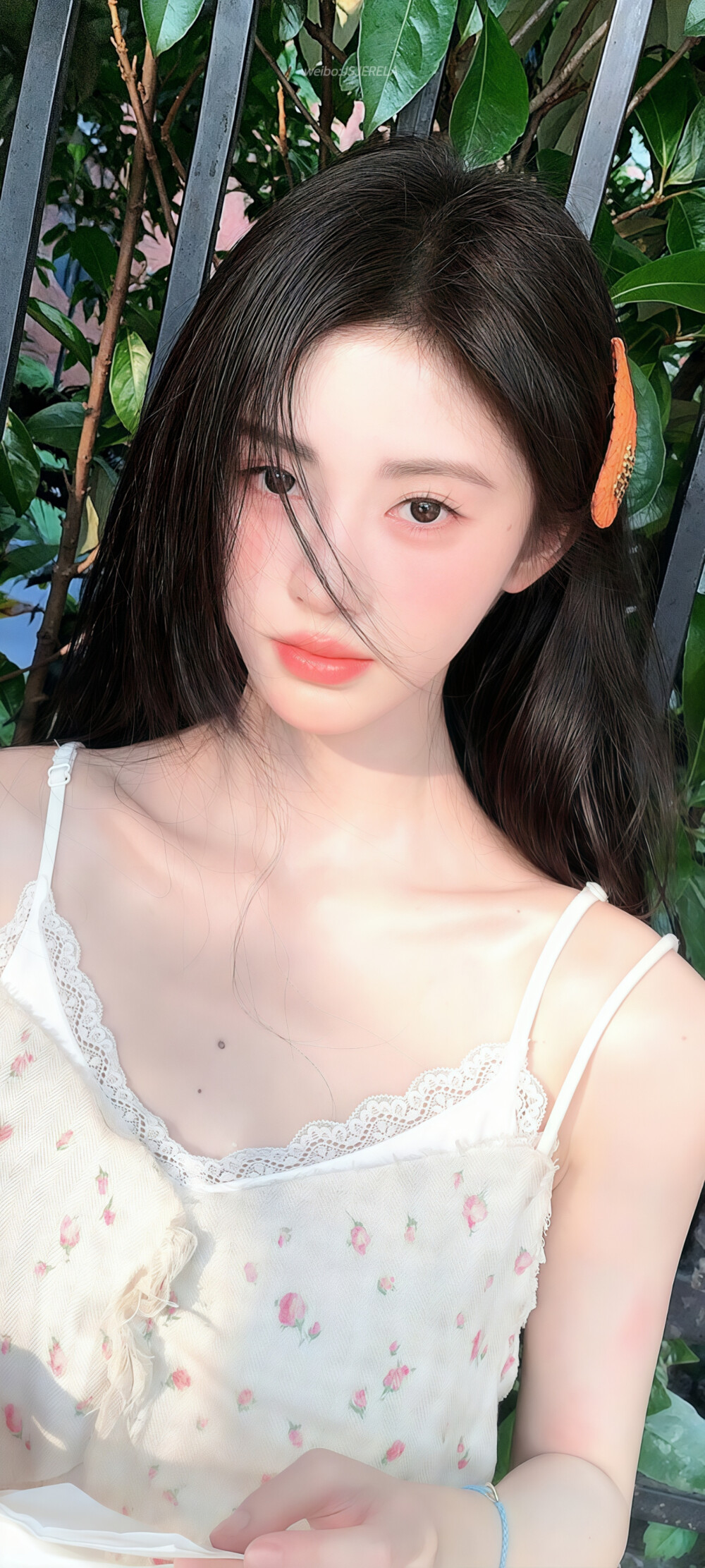 鞠婧祎