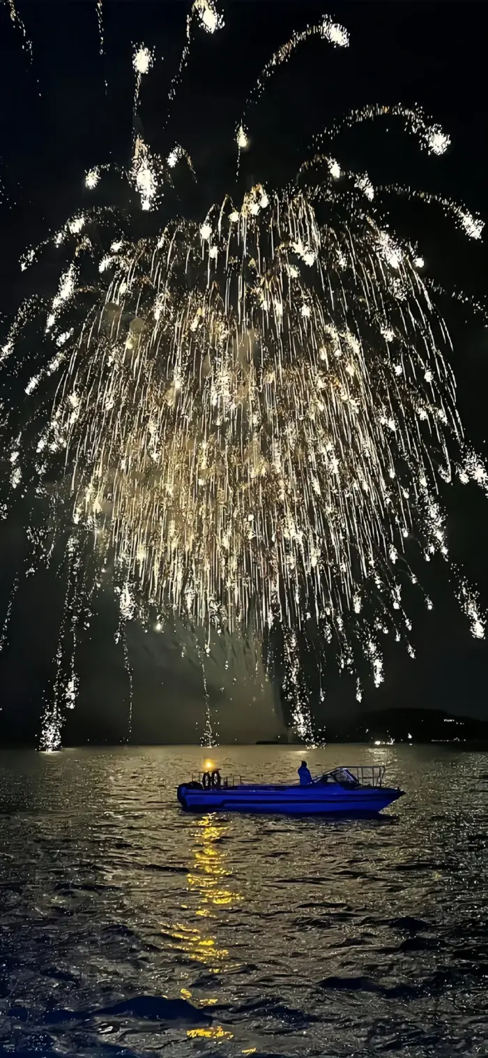 绚烂烟花黑色唯美意境壁纸