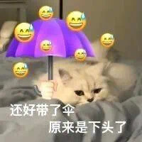 沙雕猫咪表情包