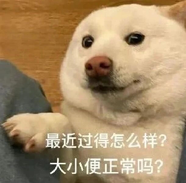 沙雕动物表情包