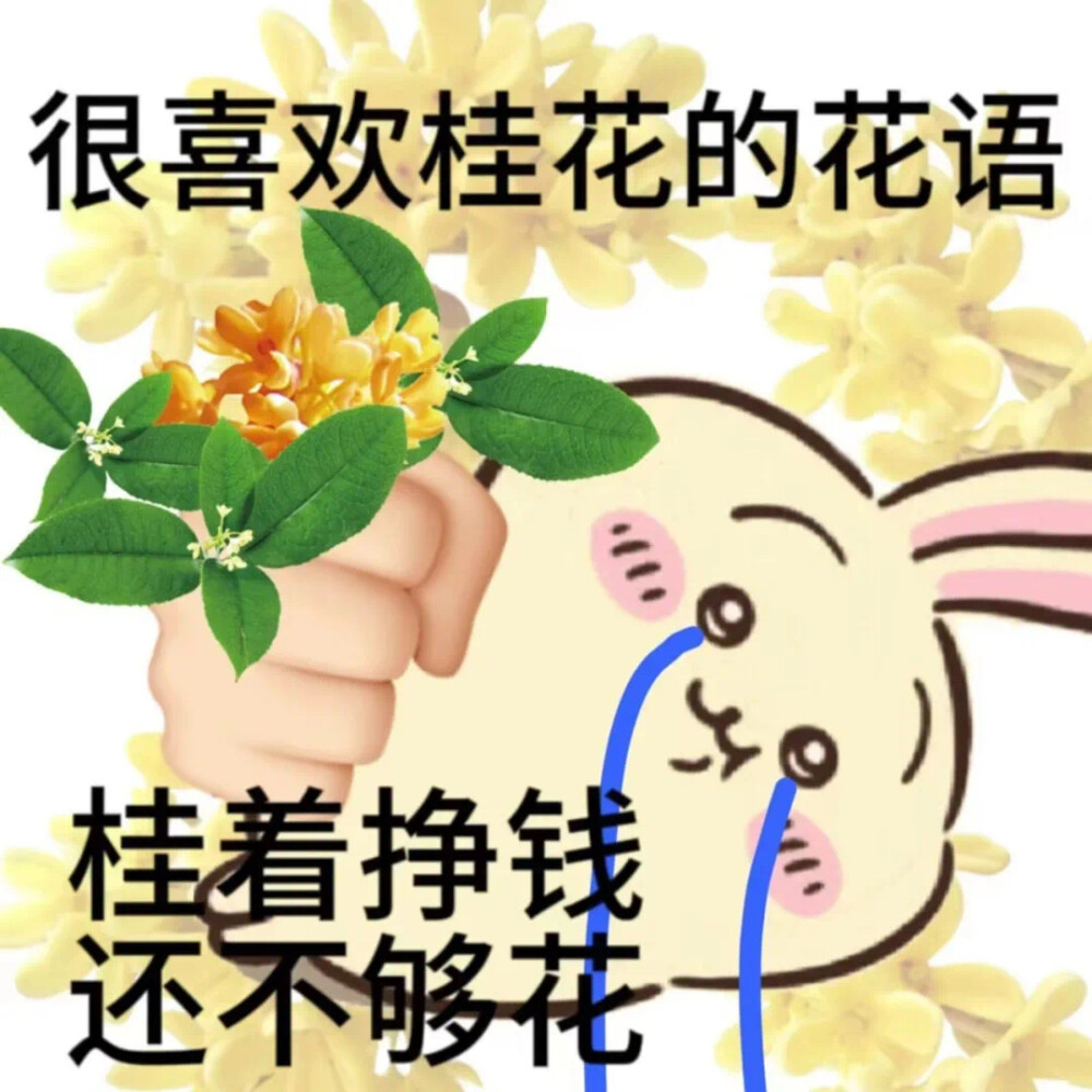 吉伊卡哇chiikawa发疯表情包