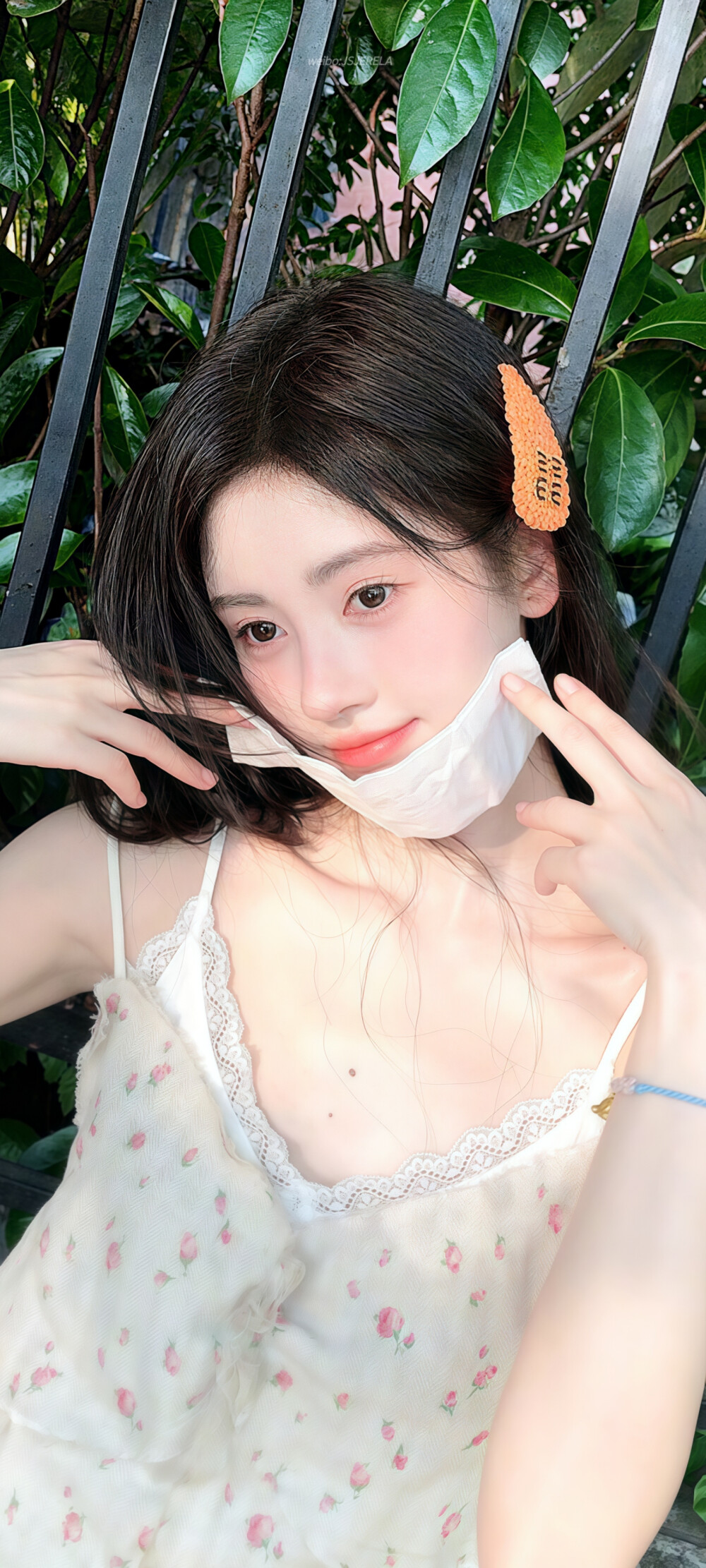鞠婧祎