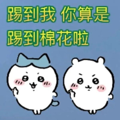 吉伊卡哇chiikawa发疯表情包