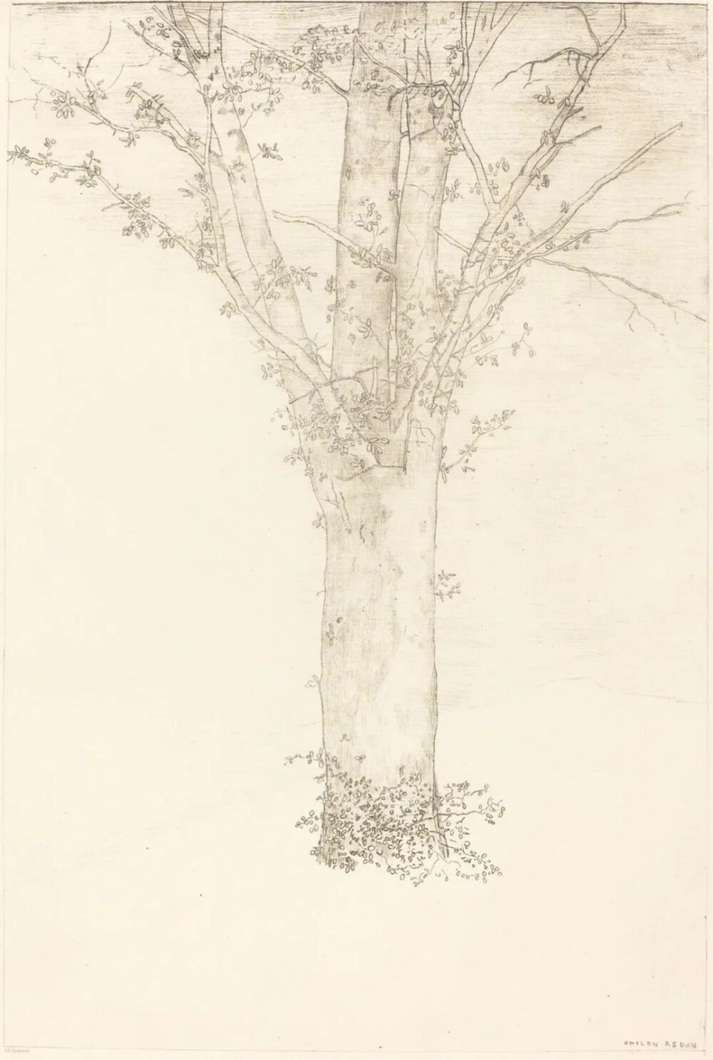 Tree,1892,Lithograph in black on cream China paper laid down on ivory wove paper,40.1×31.9cm