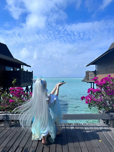 游龙清影