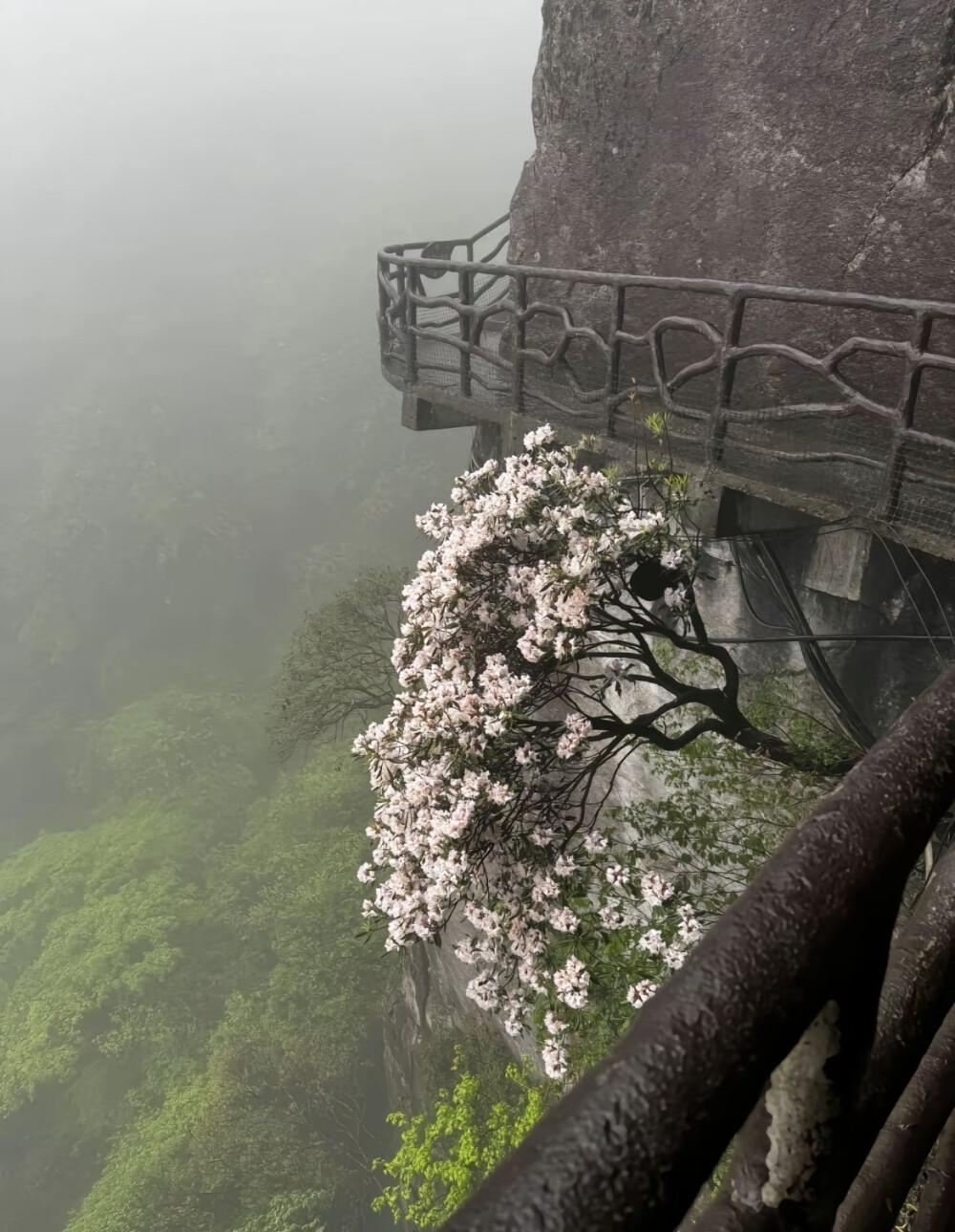 背景