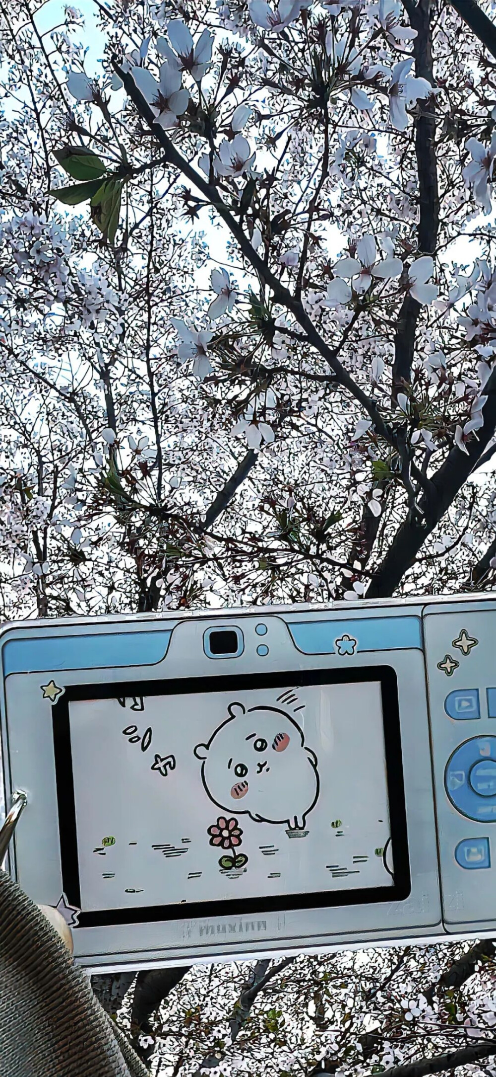 侵删
