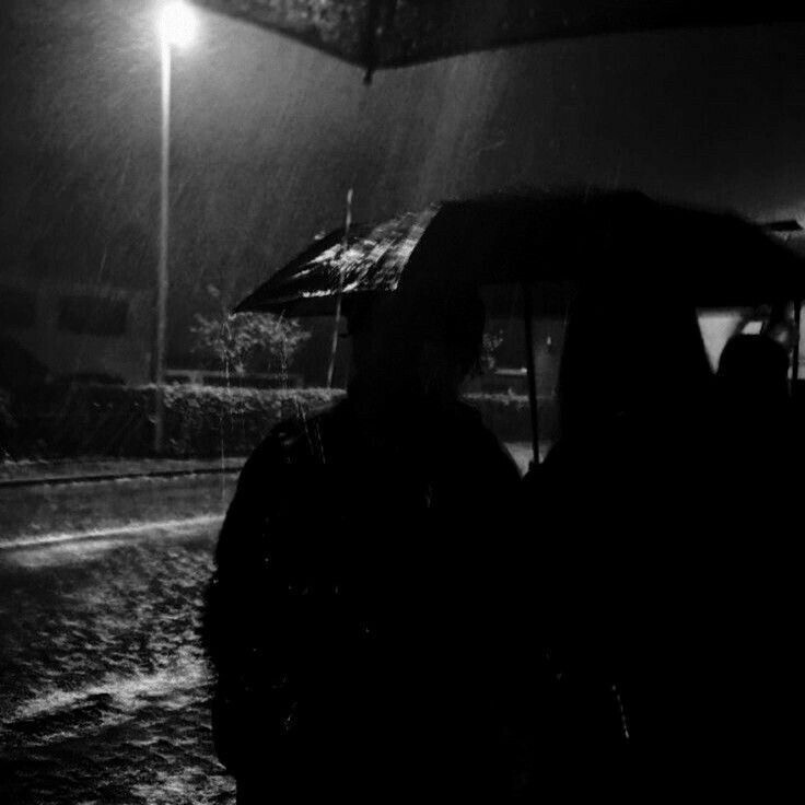 不与唐珂 不度此生