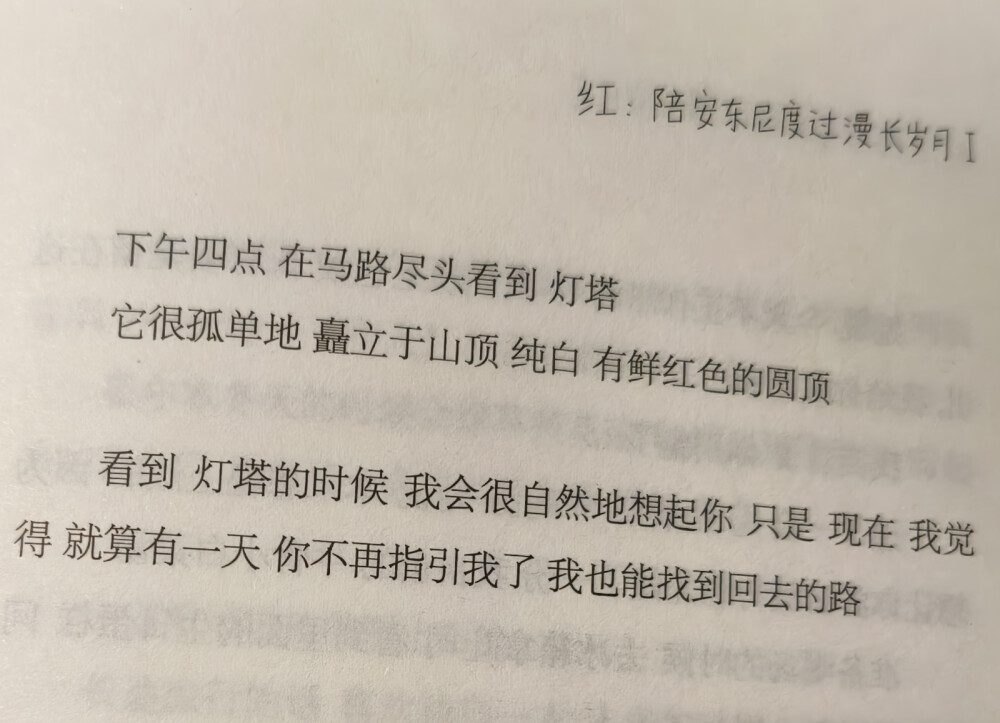 陪安东尼度过漫长岁月 书摘