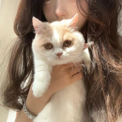 情头