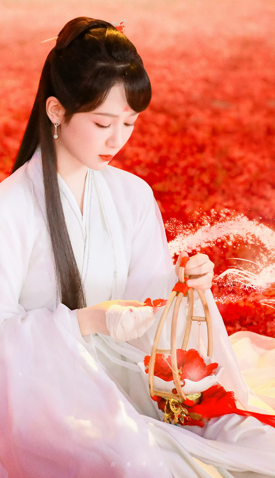 高清图片,堆糖,美图壁纸兴趣社区